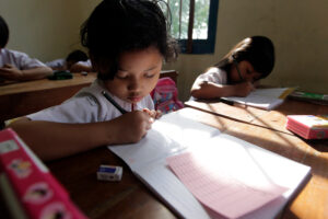 Seeing the invisible: Understanding learning differences in LMICs